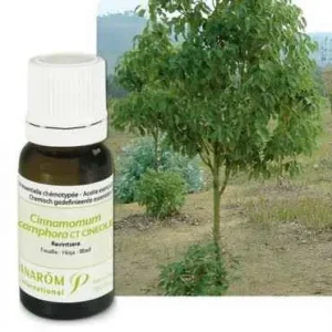 Ulje RAVENSARA; 10 ml Cinnamomum camphora ct cineol