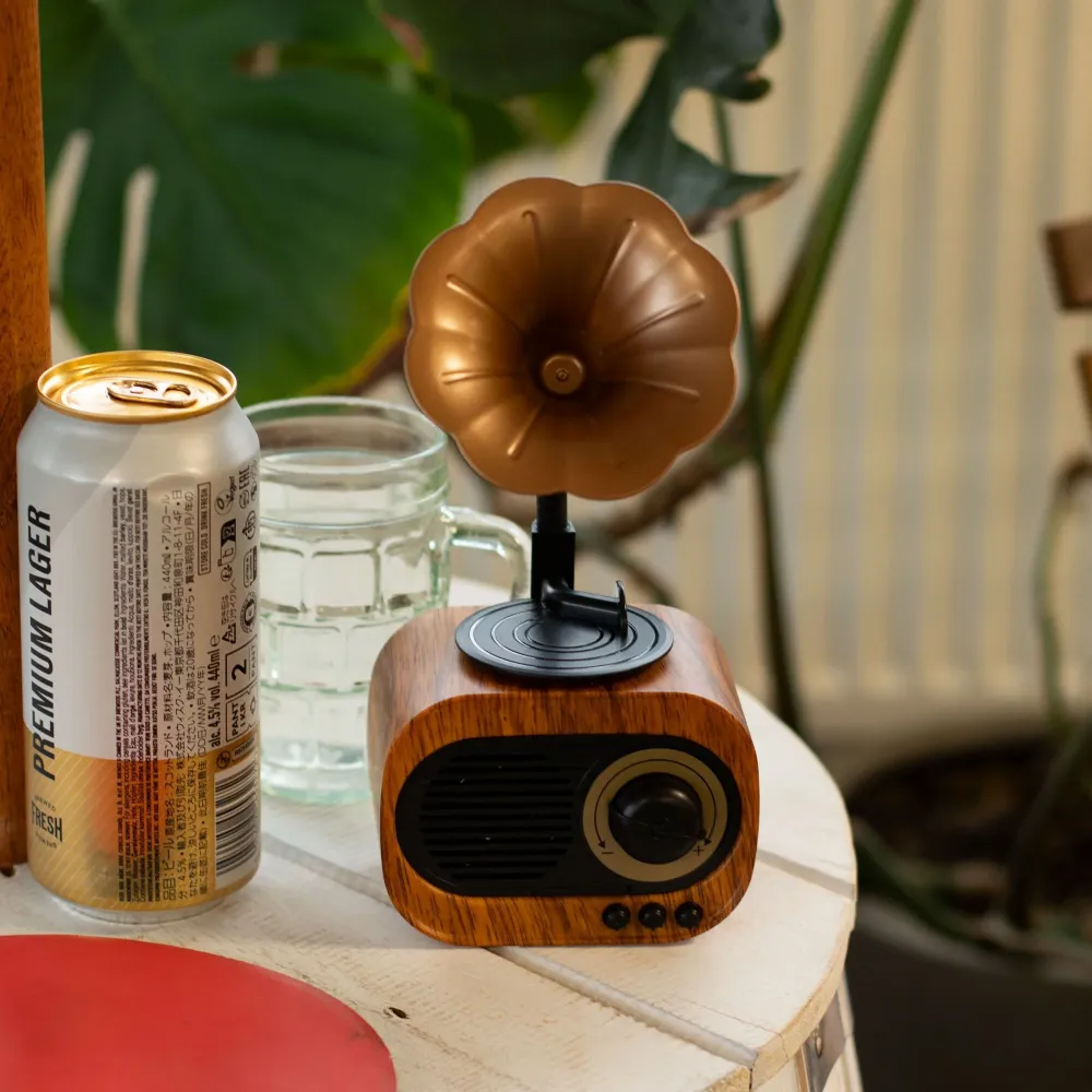 Retro mini gramofonski zvučnik – Bluetooth i FM radio – 5 vata x 1