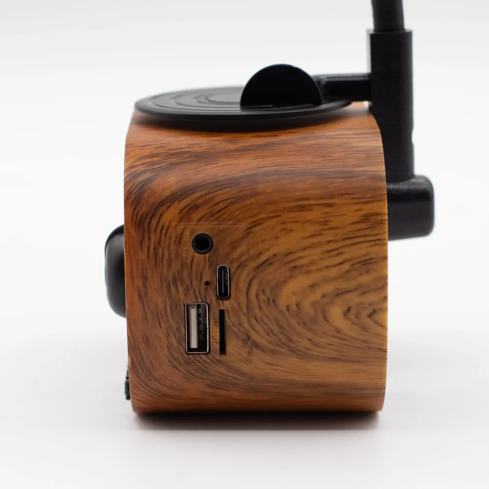 Retro mini gramofonski zvučnik – Bluetooth i FM radio – 5 vata x 1