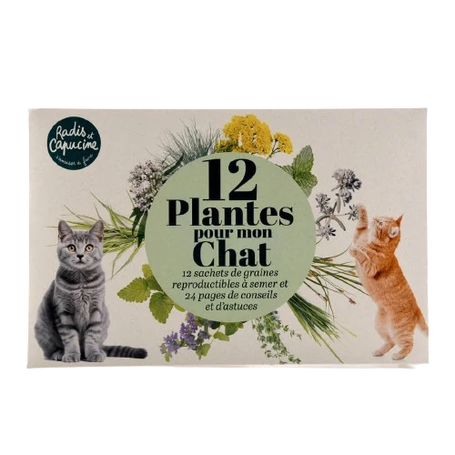 SET - Sjemenke mačjih biljaka 12x sort
