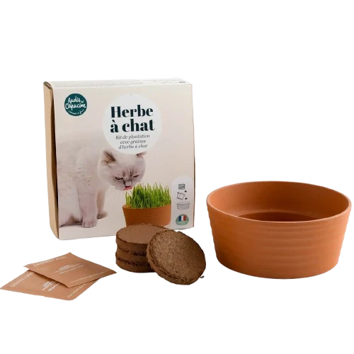 SET - Uzgoj mačje metvice