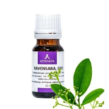 BIO Eterično ulje Ravintsara Aromara 10ml