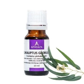 Eterično ulje Eukaliptus Globulus Aromara 10ml