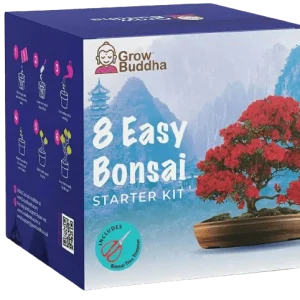 SET - Bonsai Easy, uzgoj 8. vrsta biljka + škare