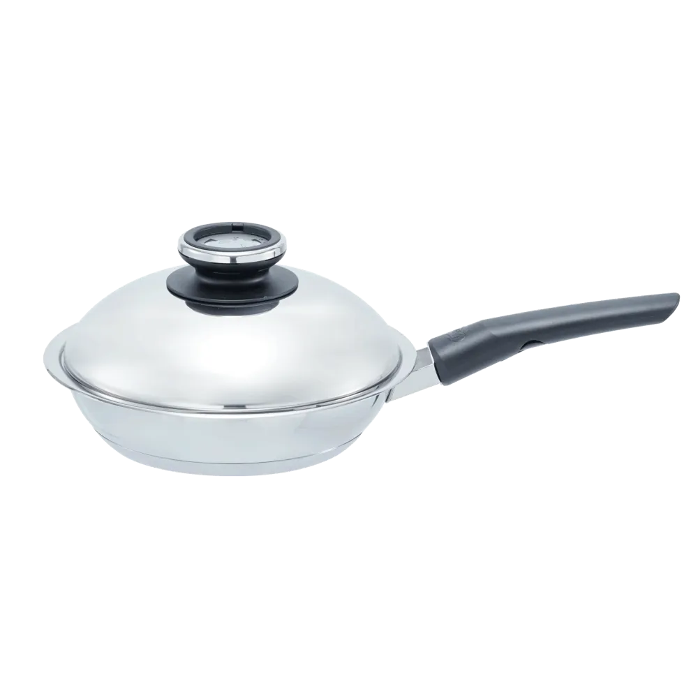 HotPan 24cm 2.0L VP ODR