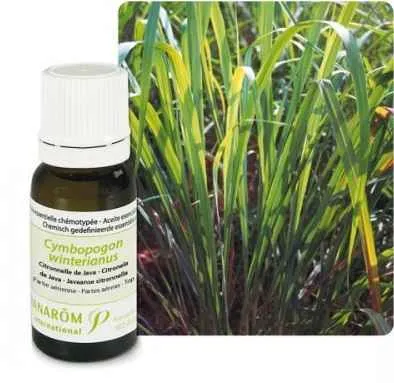 Ulje CITRONELA JAVANSKA; 10 ml Cymbopogon winterianus