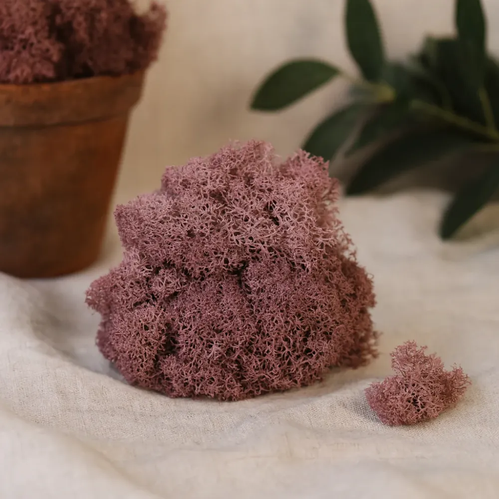 Jelenova mahovina sačuvana lavanda 500g