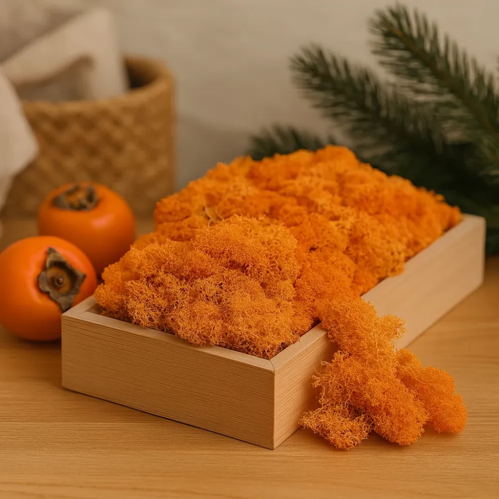 Sačuvani sobovi mahovina naranč 500g