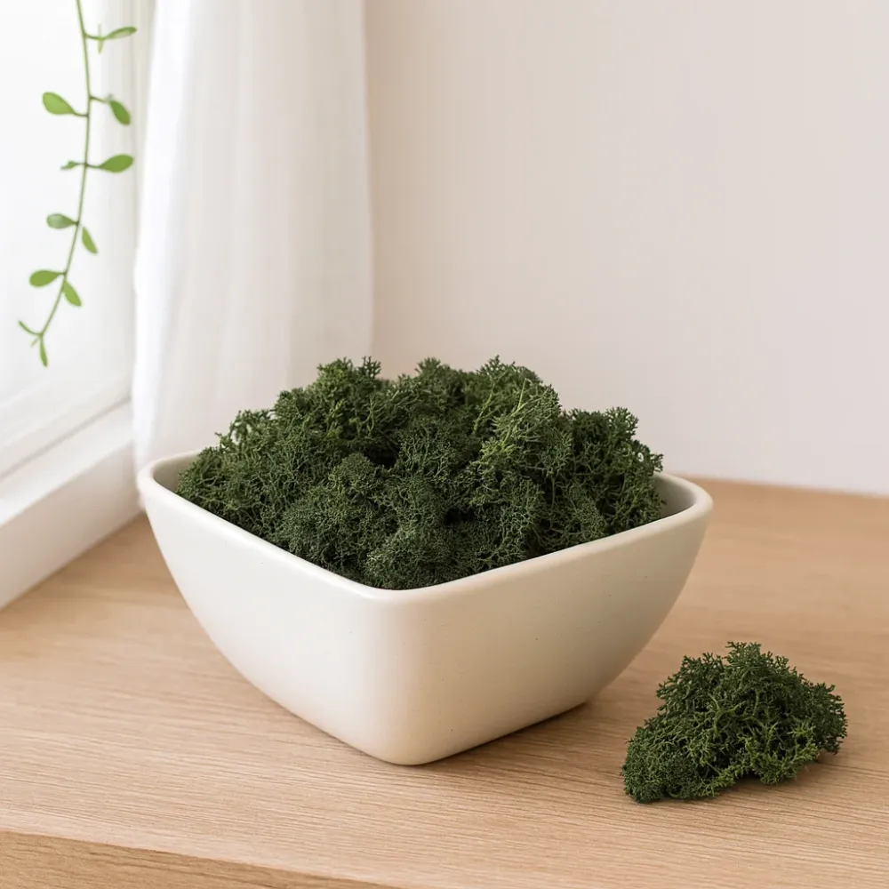 Ukrasna sobova mahovina trava zelena 500g
