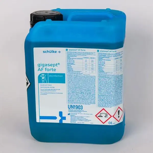 Dezinfectant instrumentar si endoscoape GIGASEPT AF FORTE, 5L