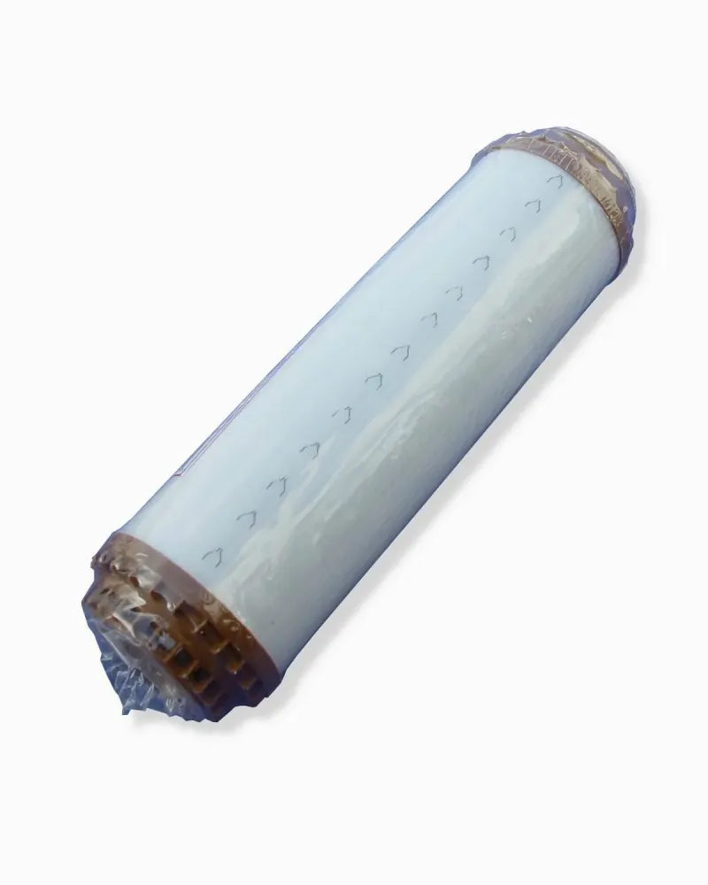 Purion Filter umetni jelen