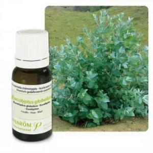 Ulje EUKALIPTUS GLOBULUS; 10 ml Eucalyptus globulus