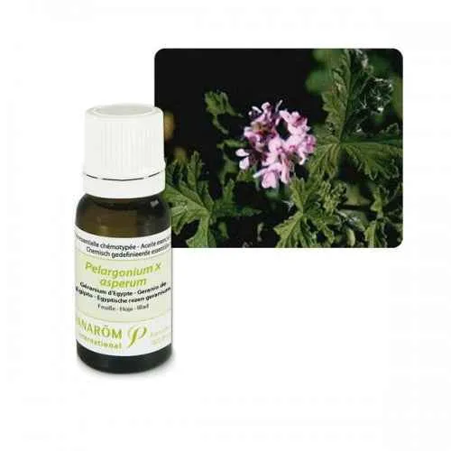 Ulje GERANIJ EGIPATSKI; 30 ml Pelargonium asp.Egypte