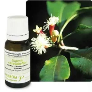 Ulje KLINČIĆEVAC; 10 ml Eugenia caryophyllata