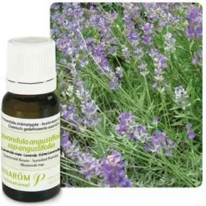 Ulje LAVANDA; 10 ml Lavandula angustifolia