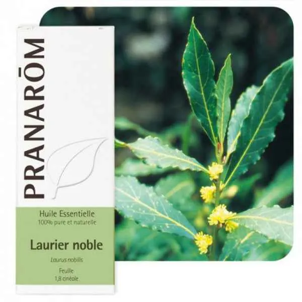 Ulje LOVORA; 5 ml Laurus nobilis