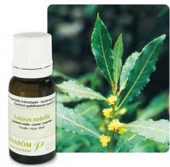 Ulje LOVORA; 5 ml Laurus nobilis