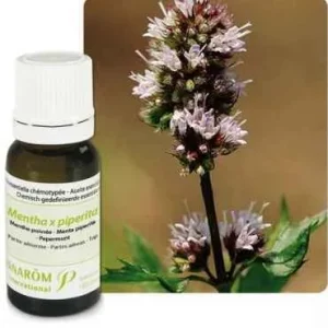Ulje METVICA PAPRENA; 10 ml Mentha x piperita