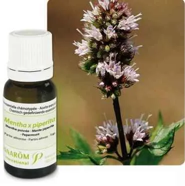 Ulje METVICA PAPRENA; 10 ml Mentha x piperita