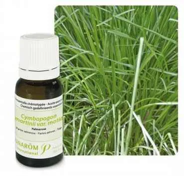 Ulje PALMAROSA; 10 ml Cymbopogon martini