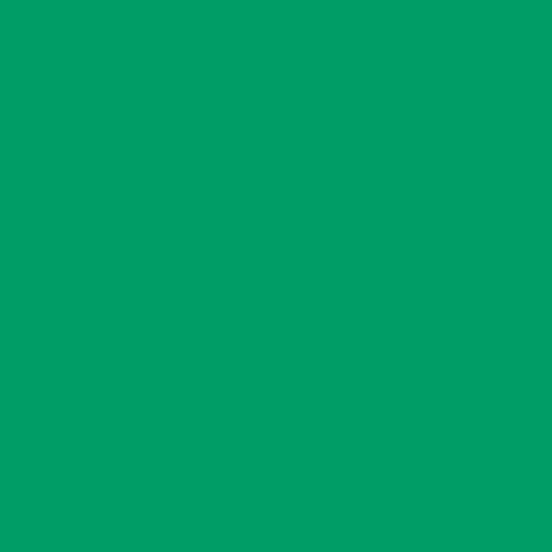 Rosco Filter folija E-Colour #089 Moss green (zelena) 53x122cm