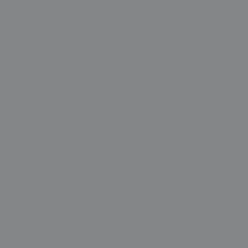 Rosco Filter folija E-Colour #210 ND 0,6 (neutral density) 53x122cm