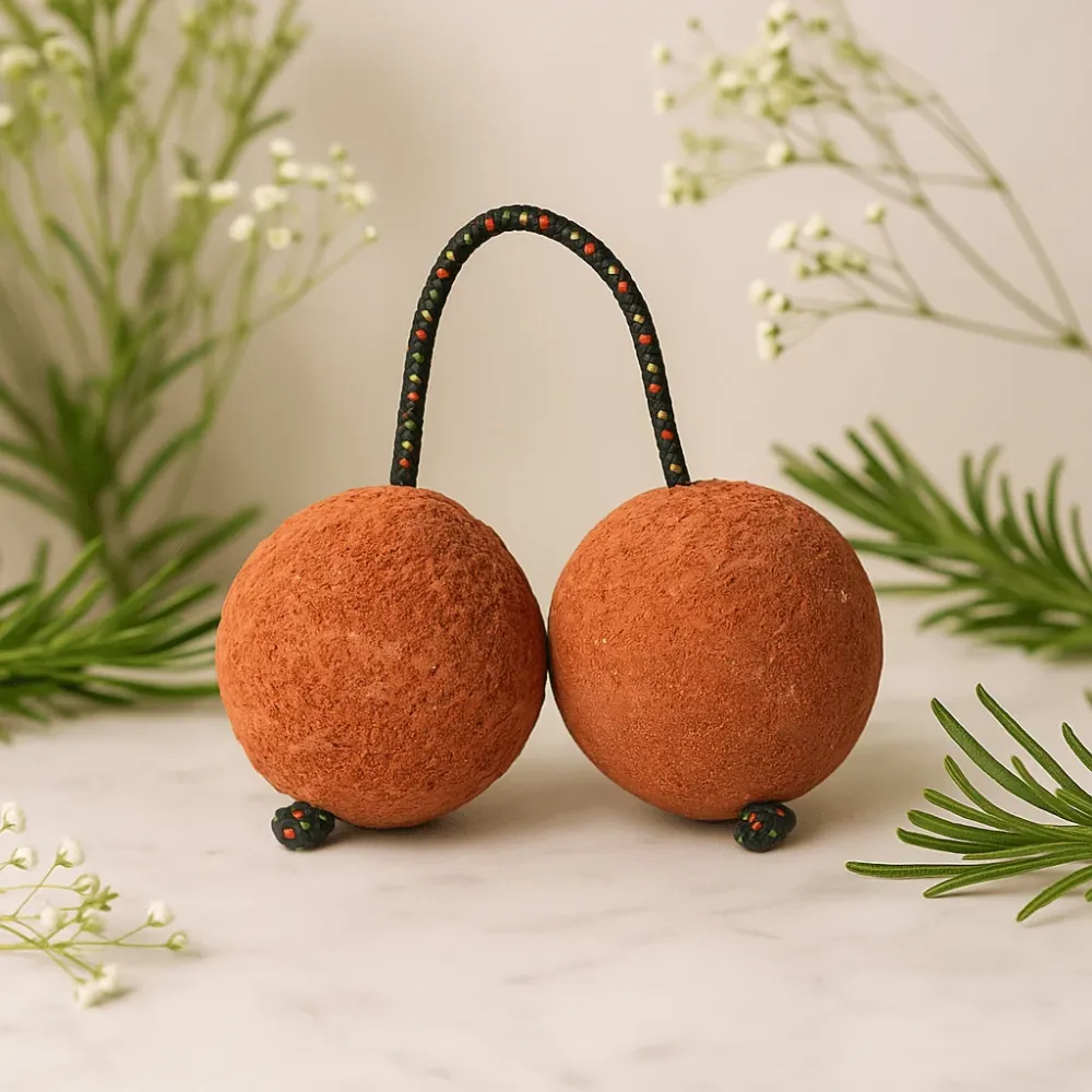 Kashaka Shaker Suar drvo plaž