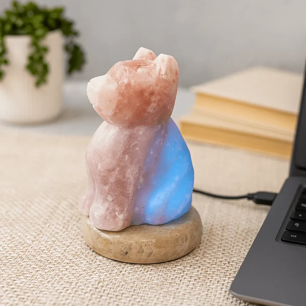 Himalajska solna lampa u obliku psa s USB-om i višebojnim osvjetljenjem