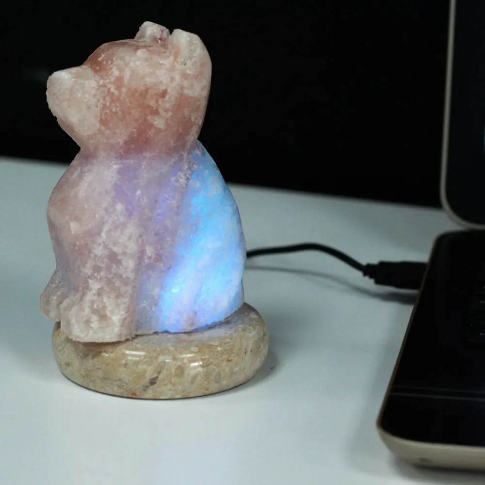 Himalajska solna lampa u obliku psa s USB-om i višebojnim osvjetljenjem