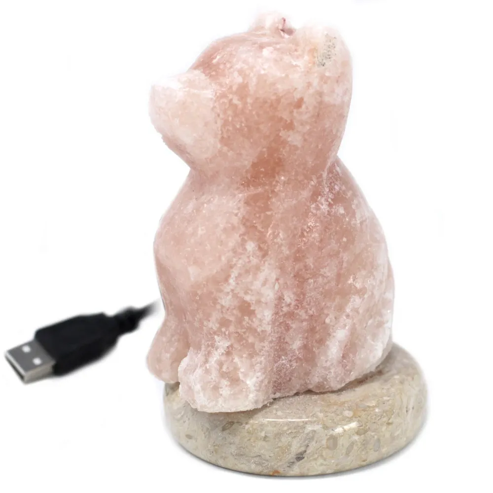 Himalajska solna lampa u obliku psa s USB-om i višebojnim osvjetljenjem