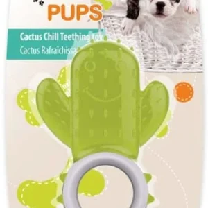 ALL PAWS Pups Cactus, za štence, 7,5x11,5x40cm