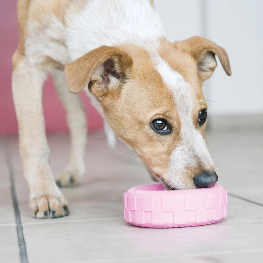 KONG Igračka za štence PUPPY Tires, M/L - 11,4x11,4x3x8cm