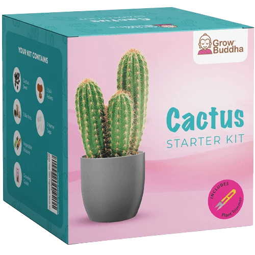 SET - Kaktus, uzgoj 15 vrsta raznih kaktusa