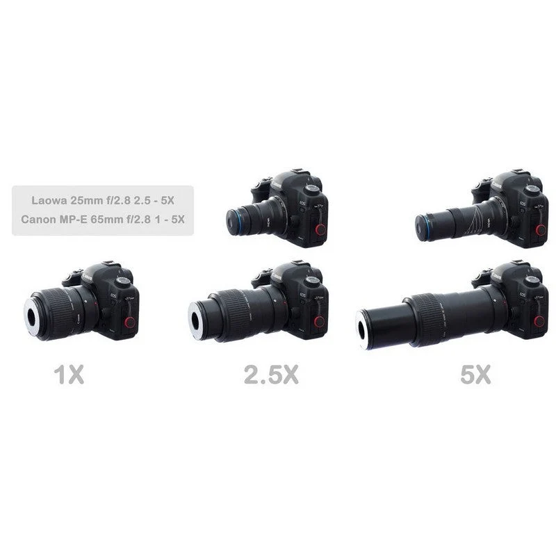 Laowa 25mm F/2.8 2,5-5x Ultra-Makro objektiv (L mount)