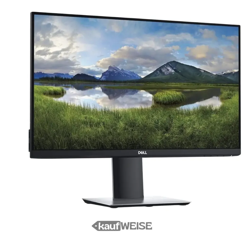 Dell P2421DC 24" QHD monitor | USB-C priključna stanica 65 W | IPS | Podesiva visina | NOVO