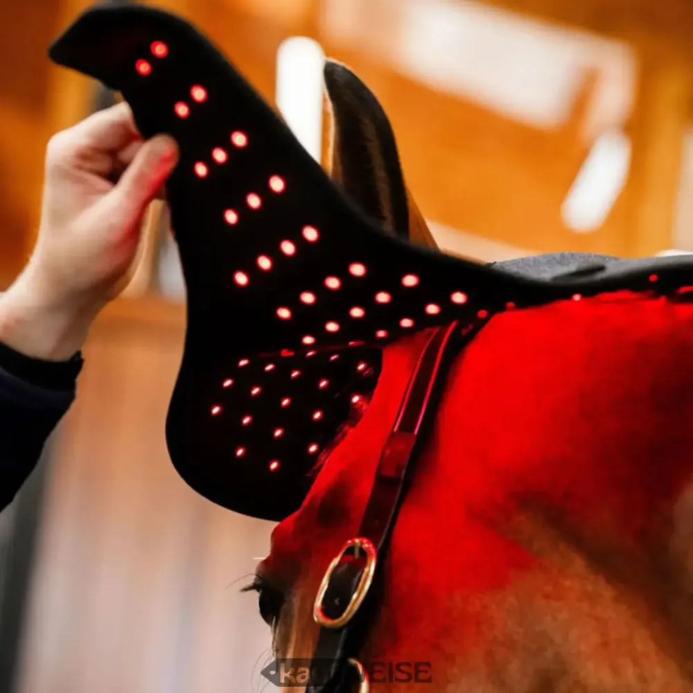 Horseware LED štitnik za potiljak | Terapija crvenim i infracrvenim svjetlom | Bežični i na baterije