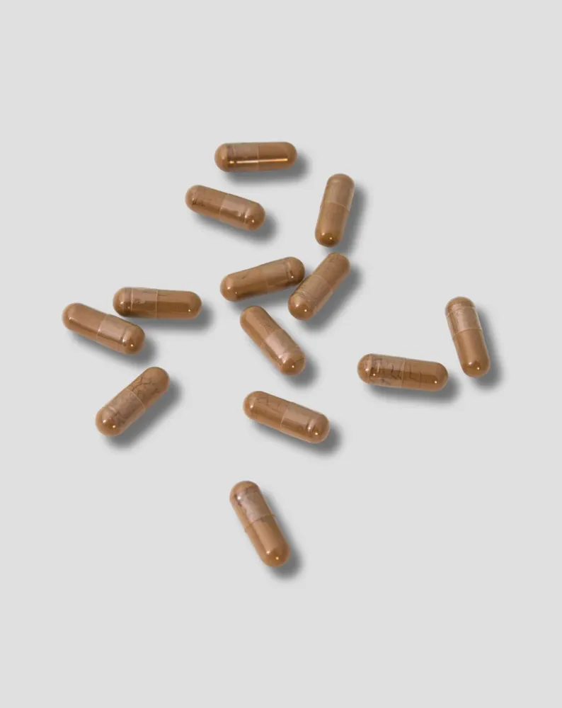 Ginkgo Biloba Ekstrakt lista Ginkgo bilobe Nutridome 60 kom.