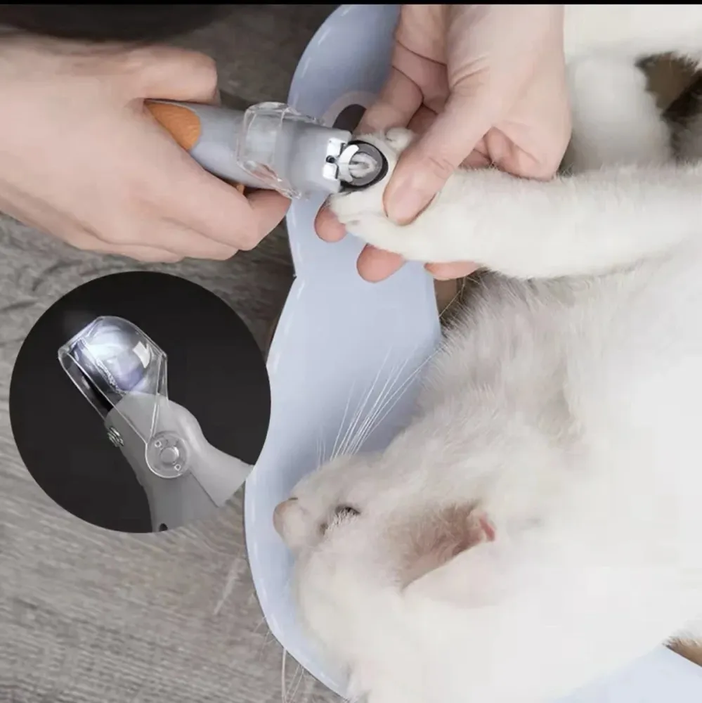 Pet Comfy LED Grickalica