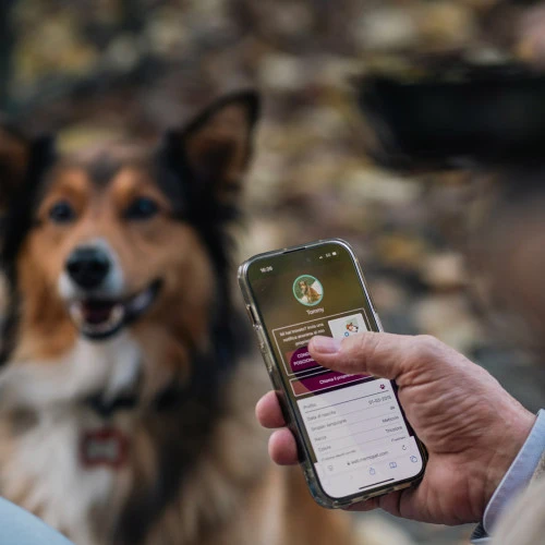 MYFAMILY Hushtag Plus QR CODE Pločica za graviranje Krug, aluminij, crna guma