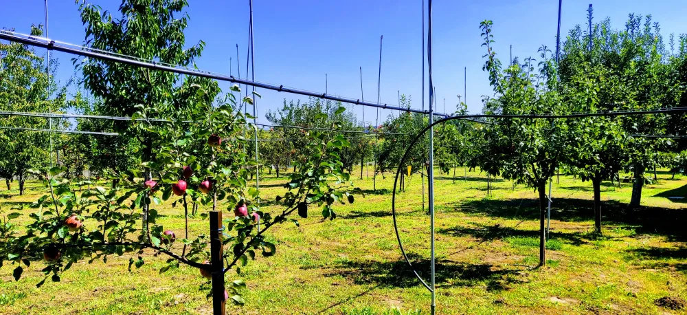 Tehnološki projekt | Agronomski