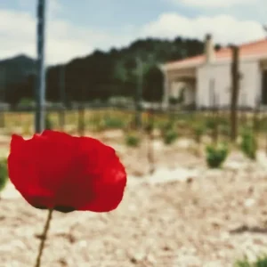 Tehnološki projekt | Navodnjavanje