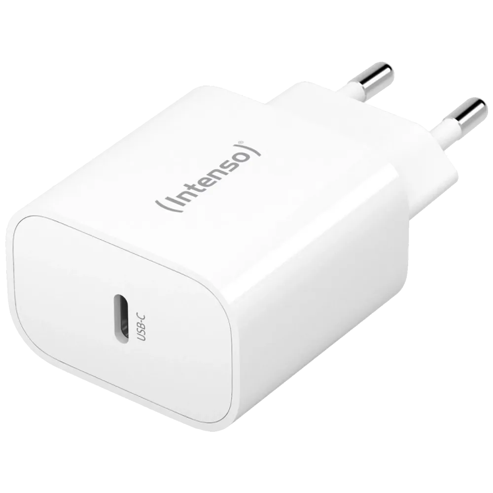 (Intenso) Punjač kučni, brzi, USB-C, 3A, 20W - Power Adapter W20C