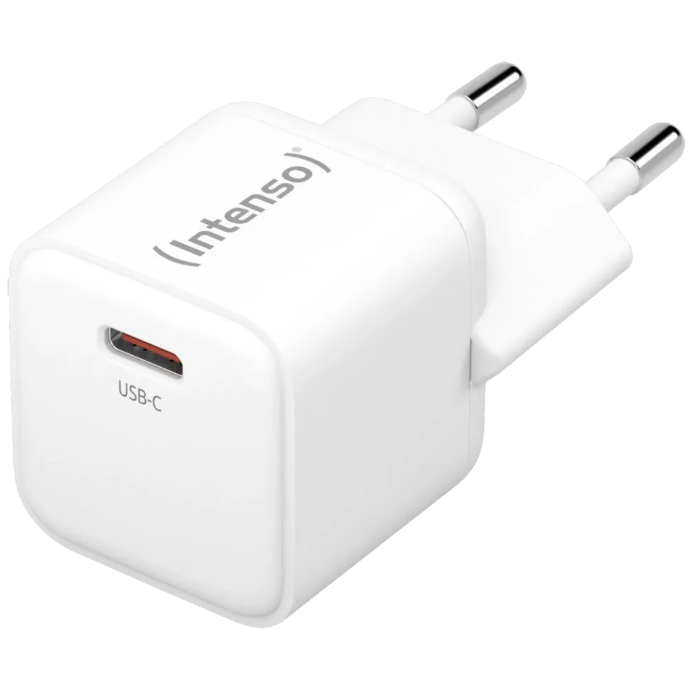 (Intenso) Punjač kučni, brzi, USB-C, 3A, 30W - Power Adapter W30C Gan