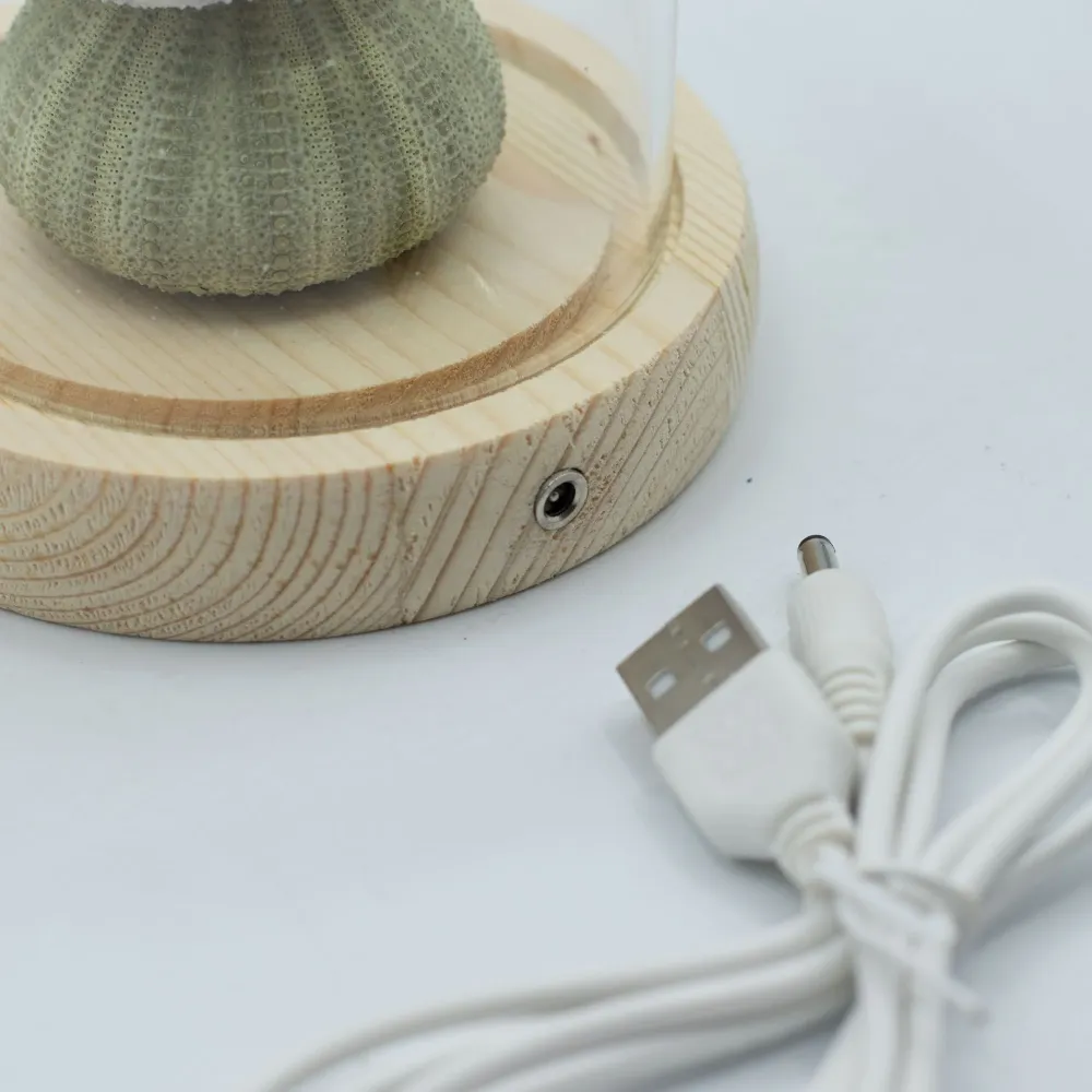 Cvjetni sjaj vrtna kupola – 3 morske ježinke – LED USB