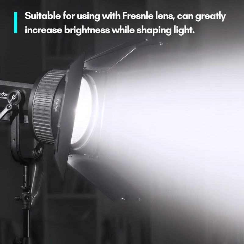 Godox Pribor Klapne LB-02 za Fresnel FLS10