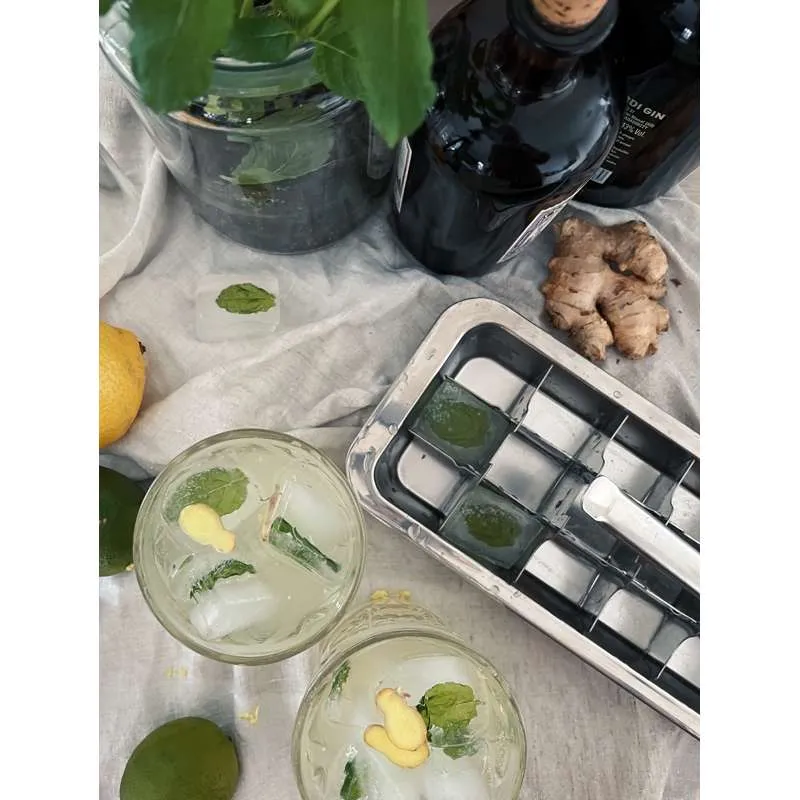 Pulito IceCubeTray Isterningebakke s. Izdavačem Squeegee