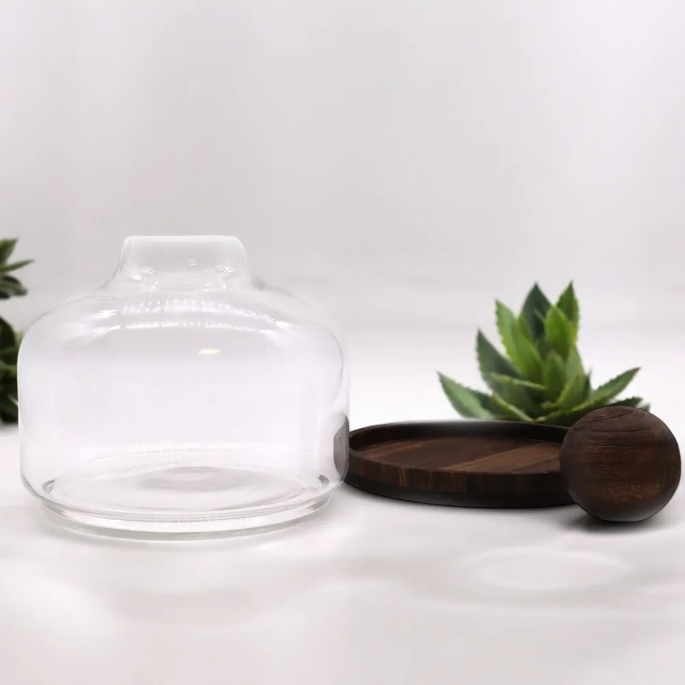 Terrarij Ekstra Velika Kugla Vrh Tamno Tung Drvo