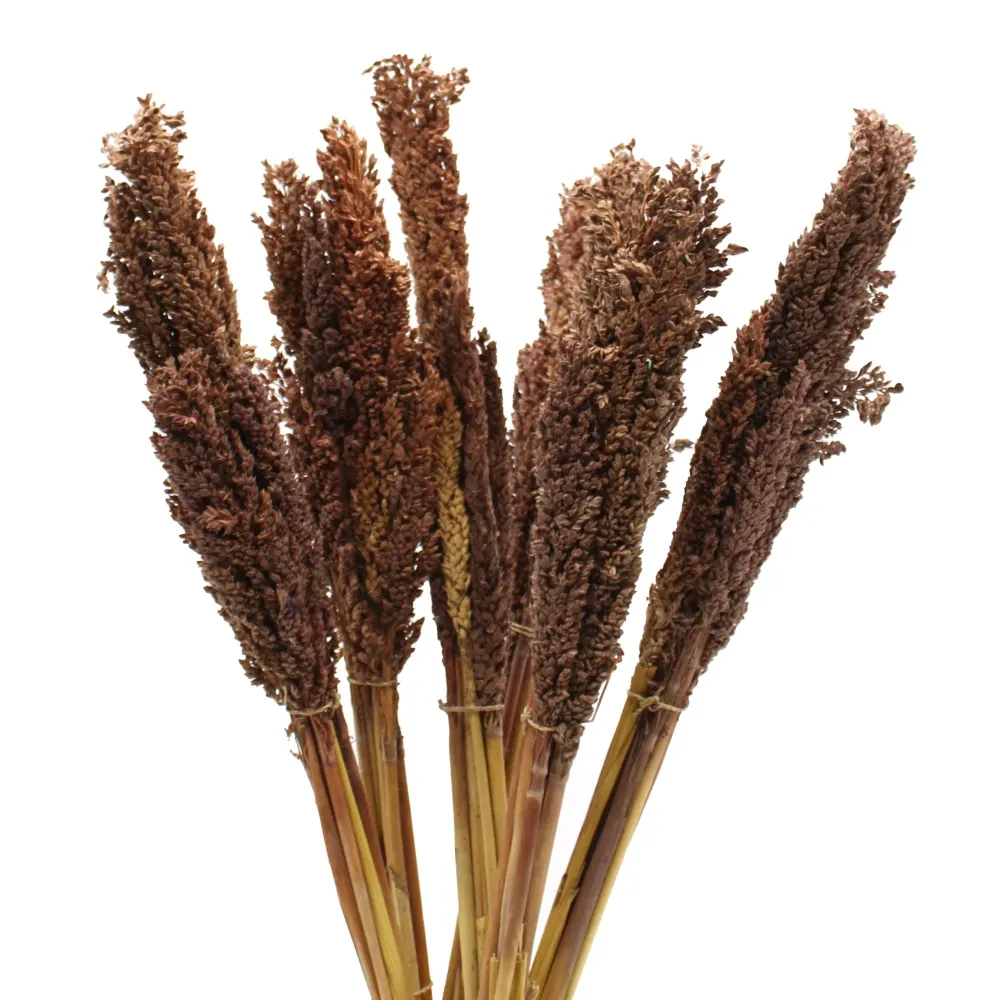 Cantal Grass Bunch Chocolate – Set od 6