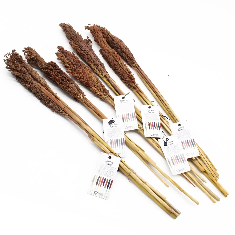 Cantal Grass Bunch Chocolate – Set od 6