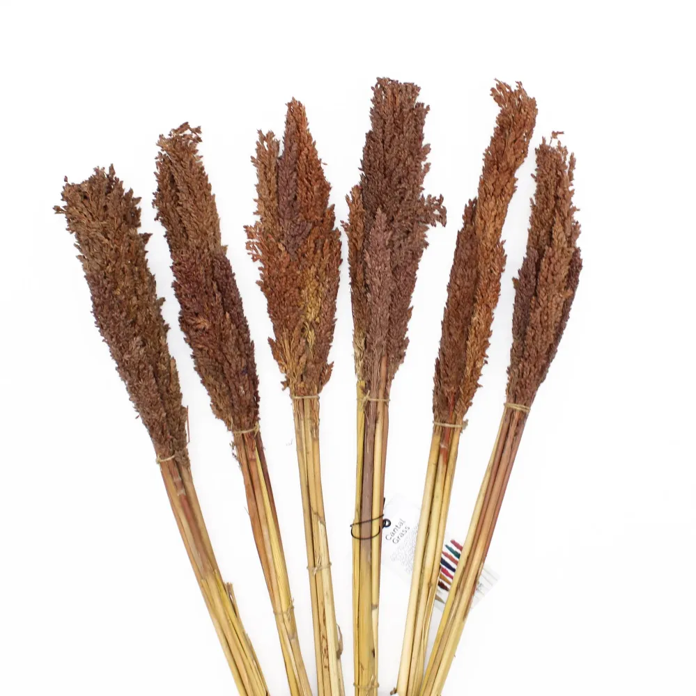 Cantal Grass Bunch Chocolate – Set od 6